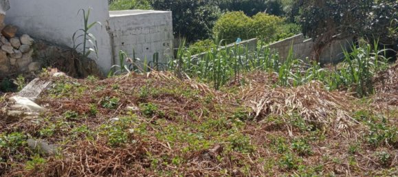  Land in Torres Vedras, Portugal No. 189856 6