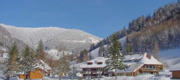 Отель, гостиница с 19 комнатами в Лёррах, Германия № 64306 21