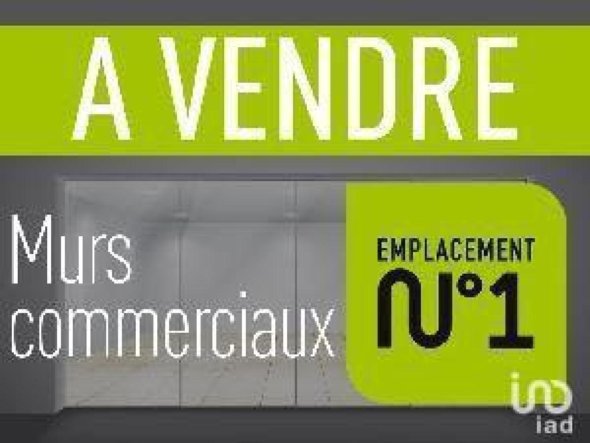 366m² Factory in Chasnais, France No. 19543