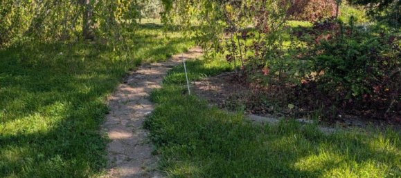 Grundstück in Salzlandkreis, Germany, Nr. 313739 8