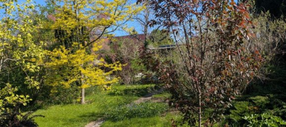 Grundstück in Salzlandkreis, Germany, Nr. 313739 4