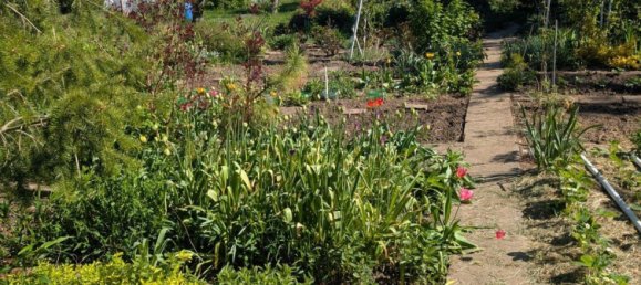 Grundstück in Salzlandkreis, Germany, Nr. 313739 9