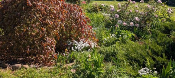 Grundstück in Salzlandkreis, Germany, Nr. 313739 3