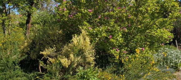 Grundstück in Salzlandkreis, Germany, Nr. 313739 7