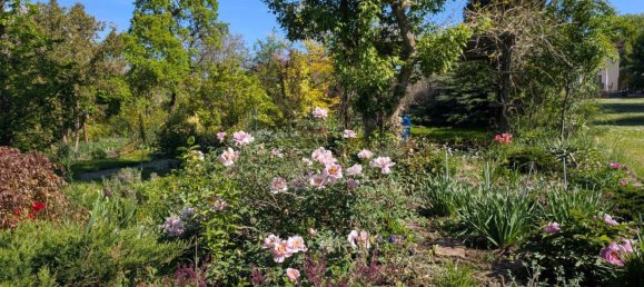 Grundstück in Salzlandkreis, Germany, Nr. 313739 2