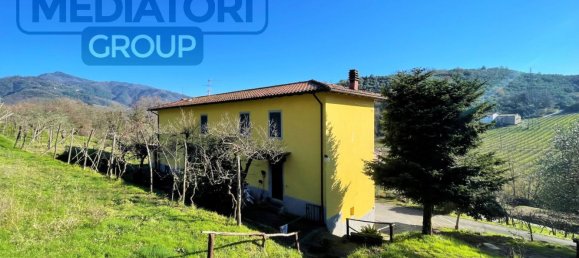 6-Zimmer Haus in Lucca, Italy, Nr. 87701 14