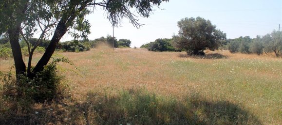 فندق في Chalkidiki, Greece 2700متر مربع رقم 7697 7