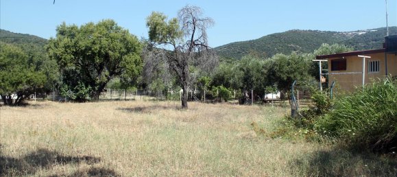 Отель, гостиница 2700м² в Халкидики, Греция № 7697 4