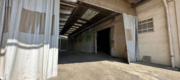 1900m² Warehouse in Albaredo d'Adige, Italy No. 375965 2