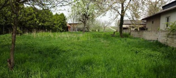 Grundstück in Gols, Austria 530m², Nr. 164897 3