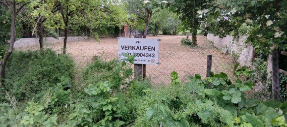 Grundstück in Gols, Austria 530m², Nr. 164897 2