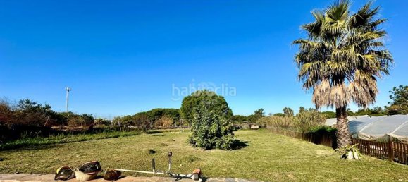 3 Schlafzimmer Haus in Huelva, Spain, Nr. 175359 18