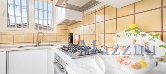 16 rooms Apartment in Forte dei Marmi, Italy No. 36510 7