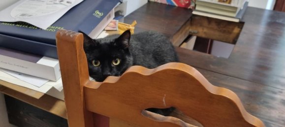 3-Zimmer Wohnung in Rome, Italy, Nr. 221933 14