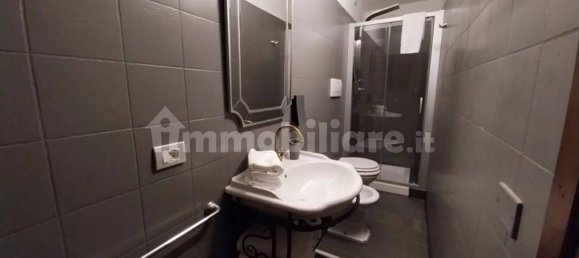 14 bedrooms House in Camaiore, Italy No. 75958 17