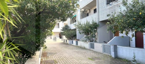 3-Zimmer Wohnung in Campomarino, Italy, Nr. 26655 15