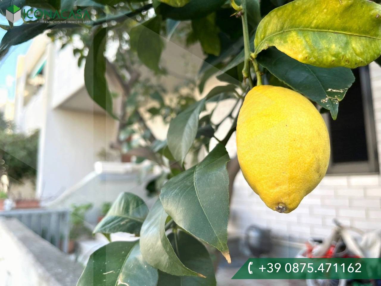 3-Zimmer Wohnung in Campomarino, Italy, Nr. 26655