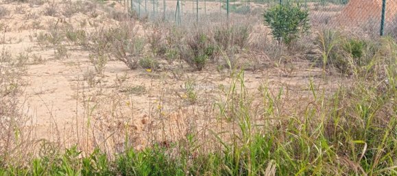 Земельный участок в Аликанте, Испания № 189156 4