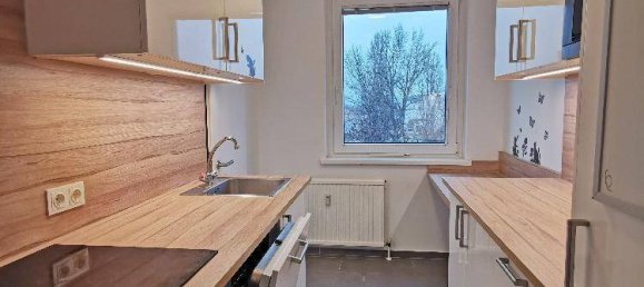 3-Zimmer Wohnung in Wien, Austria, Nr. 195444 7