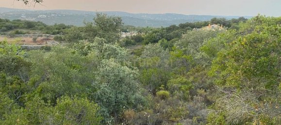5800m² Land in Loule, Portugal No. 71850 3
