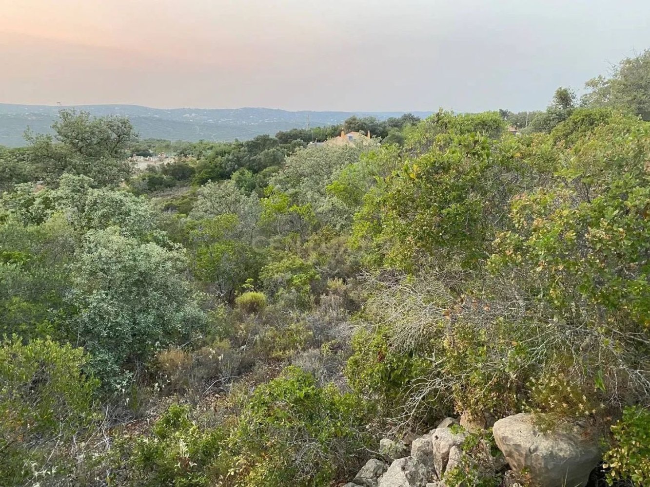 5800m² Land in Loule, Portugal No. 71850