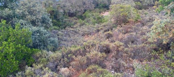 5800m² Land in Loule, Portugal No. 71850 7