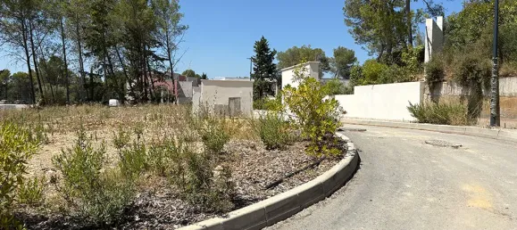 435m² Land in Saint-Clement-de-Riviere, France No. 110107 4