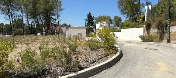 435m² Land in Saint-Clement-de-Riviere, France No. 110107 3