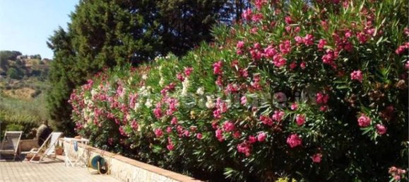 Villa T5 em Enna, Italy N.º 355377 4