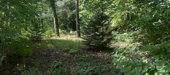 2158m² Land in Correze, France No. 312130 2