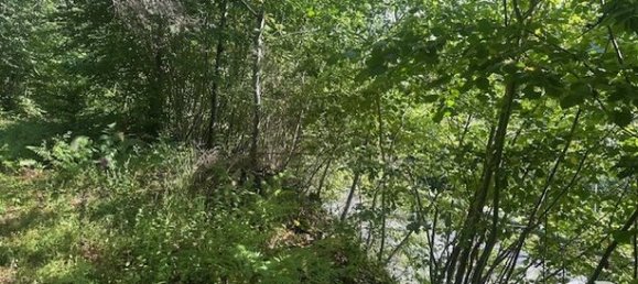 2158m² Land in Correze, France No. 312130 5