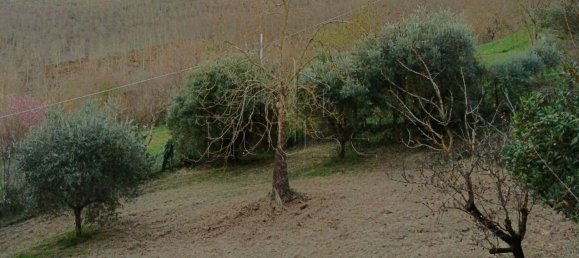 6-Zimmer Haus in Umbertide, Italy, Nr. 148075 8