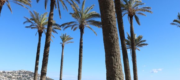 1 غرف نوم شقة في Roses, Spain رقم 110776 19