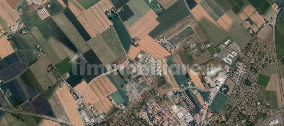 2 bedrooms Apartment in San Felice sul Panaro, Italy No. 269219 16