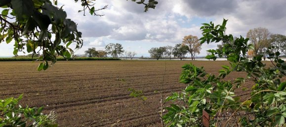 Bungalow de 2 dormitorios en Neusiedl am See, Austria No. 208975 7