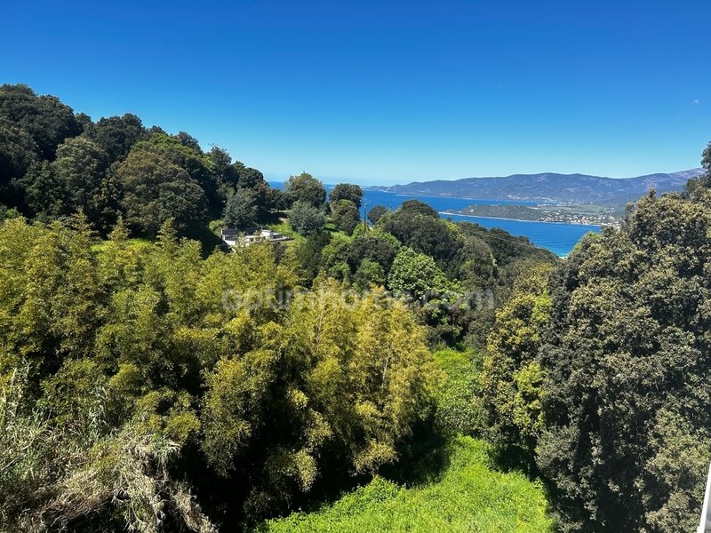 2 bedrooms House in Calcatoggio, France No. 74681