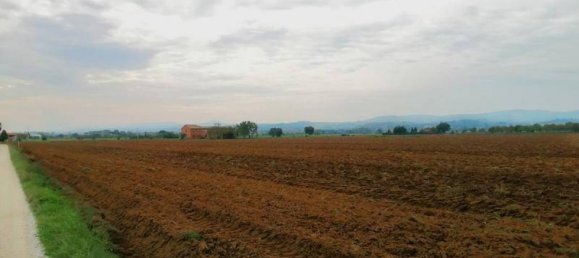 Studio in Montepulciano, Italy, Nr. 1524 3