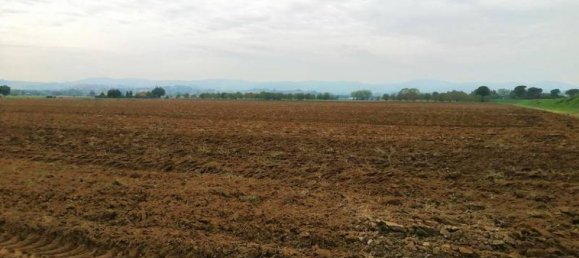 Studio in Montepulciano, Italy, Nr. 1524 2