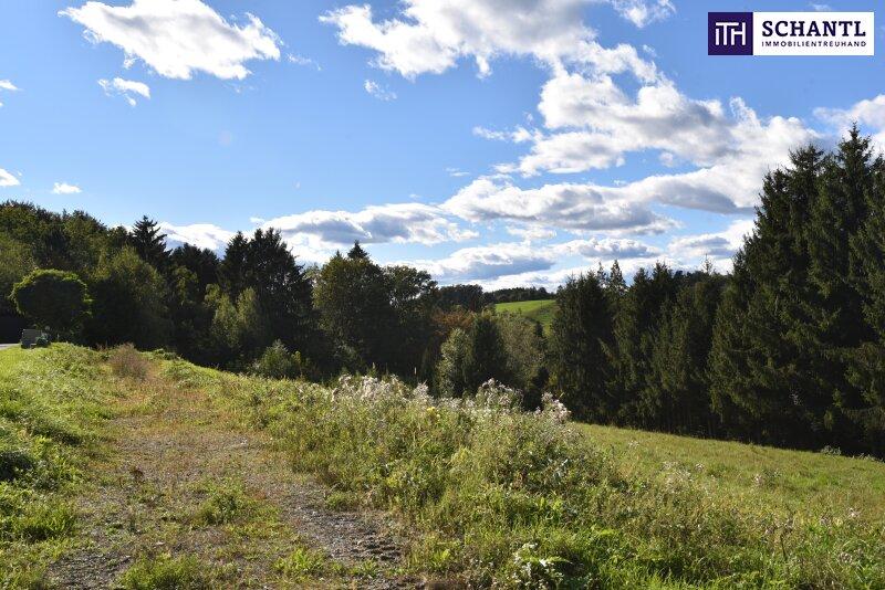 Terrain à Kainbach bei Graz, Austria No. 245897