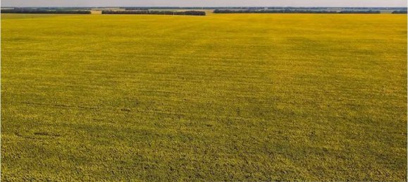 Casa de 5 divisões em Longiano, Italy N.º 258527 6