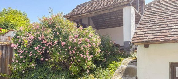 6غرفة منزل في Guntersdorf, Austria رقم 83721 2