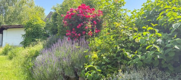 6غرفة منزل في Guntersdorf, Austria رقم 83721 18