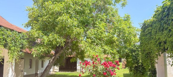 6غرفة منزل في Guntersdorf, Austria رقم 83721 3