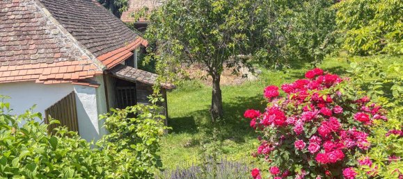 6غرفة منزل في Guntersdorf, Austria رقم 83721 5