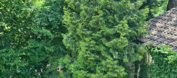 1 غرف نوم شقة في Bodenseekreis, Germany رقم 22174 3