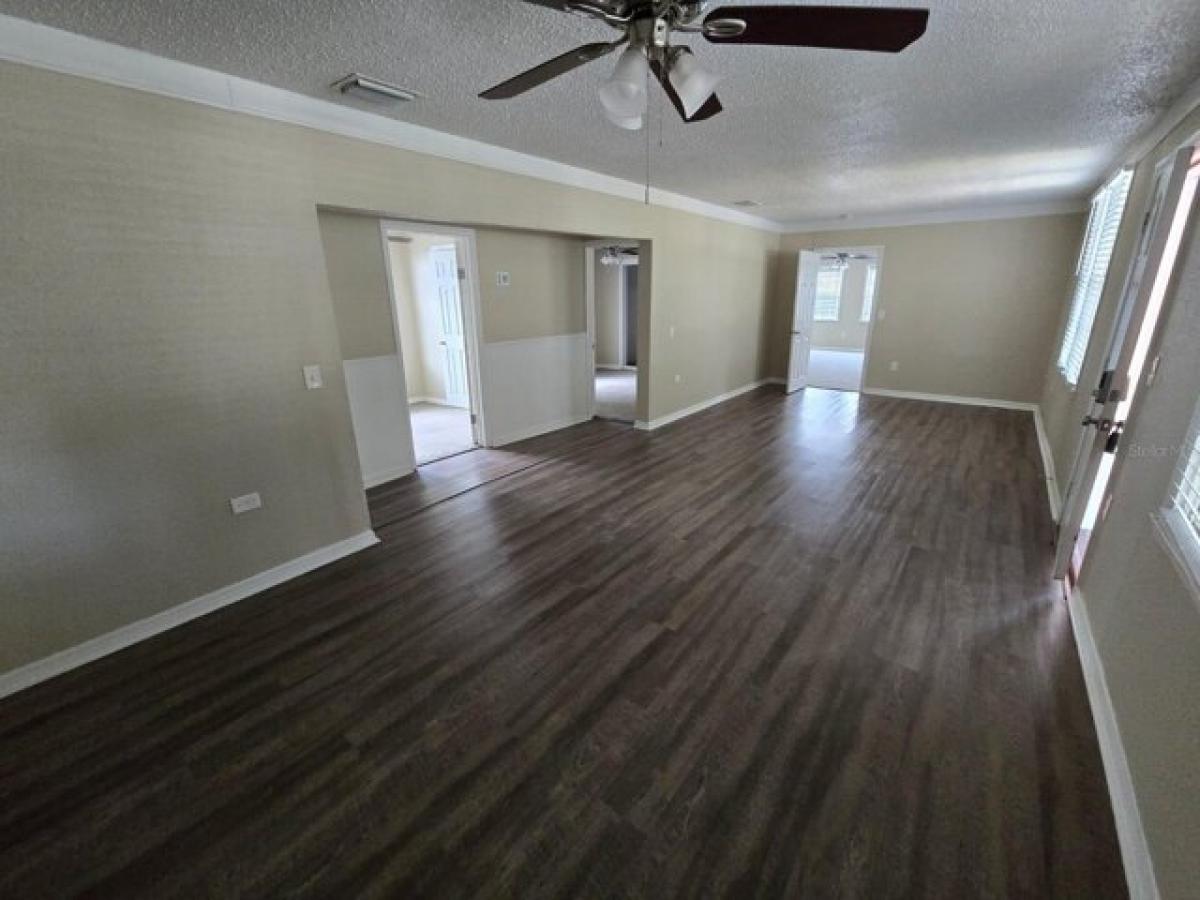 4 bedrooms House in Mascotte, USA No. 373073