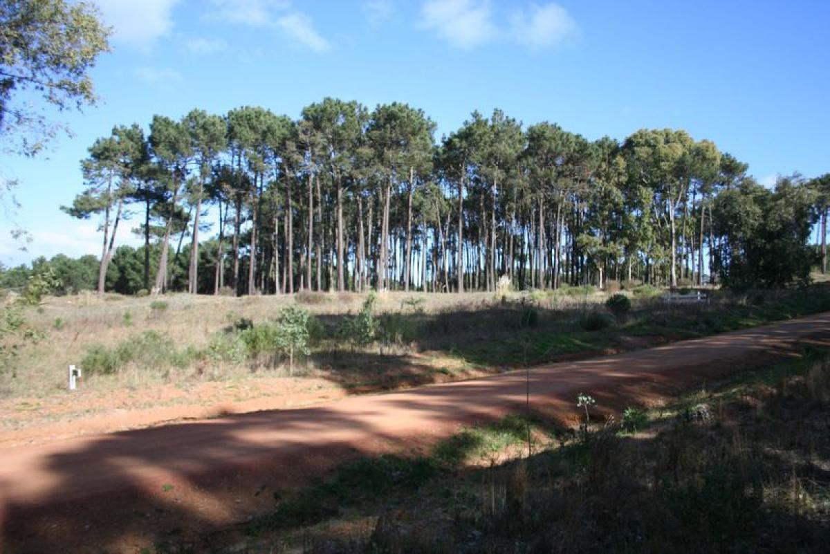 Grundstück in Maldonado, Uruguay, Nr. 16119