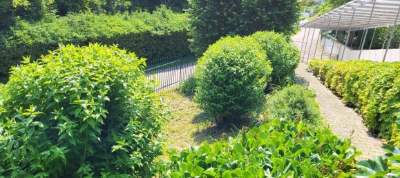 9 rooms House in Puchenstuben, Austria No. 226471 18