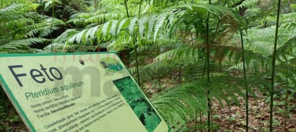 Terreno em Lourinhã, Portugal 508 m² N.º 77747 9