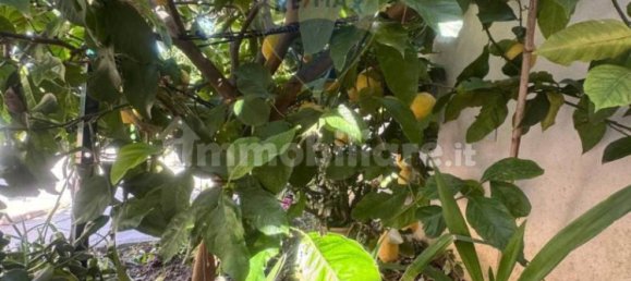 2 bedrooms Villa in Quiliano, Italy No. 271629 44